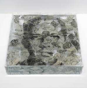Narcisos_Oscar_Munoz_desmaterializaciones_Fundacio_Sorigue_cortesia_de_Oscar_Munoz_1200