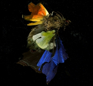 Mat Collishaw Insecticide 15-2009- Image courtesy the artist and BlainSouthern