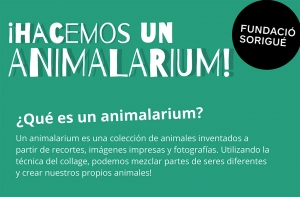 Actividades descargable de la Fundació Sorigué: hacemos un animalarium