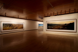 wim-wenders-fundacio-sorigue-photographs-2013