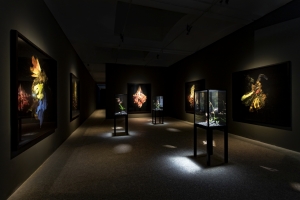 Mat Collishaw. Dialogues, Fundació Sorigué, 2019