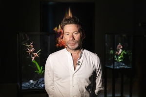 Mat Collishaw. Dialogues, Fundació Sorigué, 2019