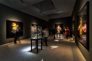 Cierre Mat Collishaw Dialogues, Fundació Sorigué Madrid