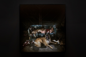 Obra Children of a Lesser God de Mat Collishaw en la Fundació Sorigué